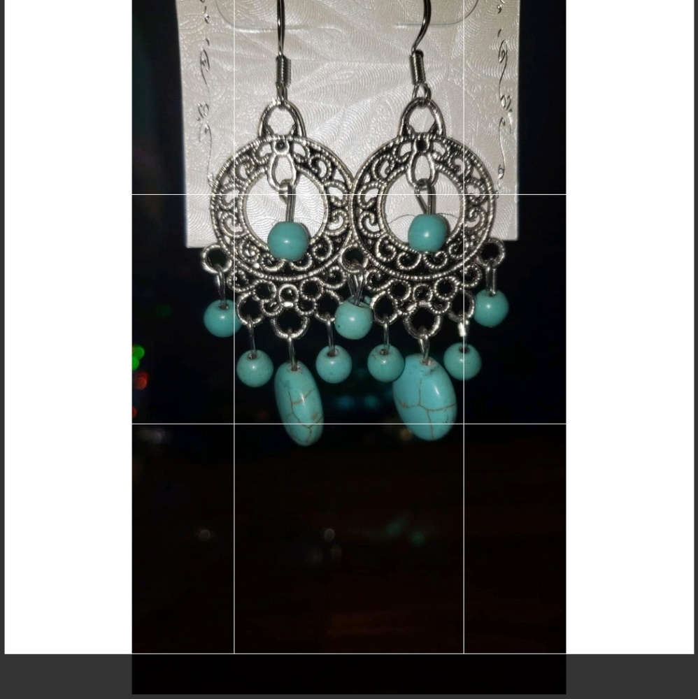 Hobo fashion jewelry earrings